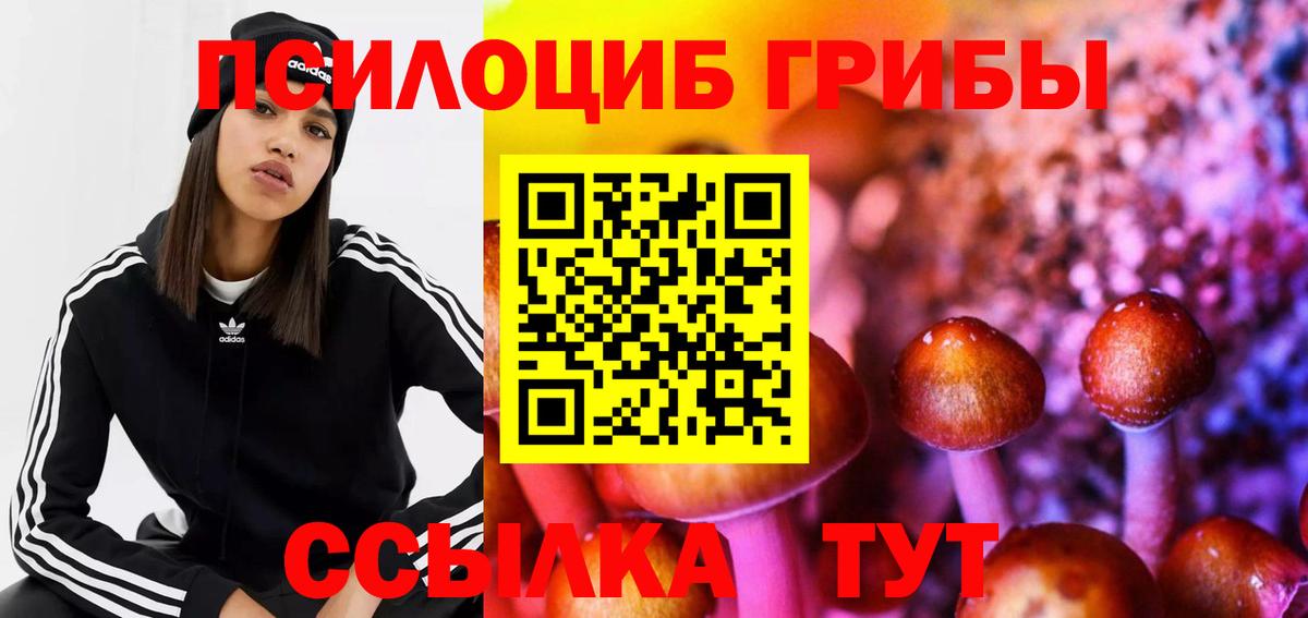 Галлюциногенные грибы Cubensis  Псилоцибиновые грибы GOLDEN TEACHER  Вход с VPN  где купить   Ессентуки 
